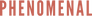 Phenomenal Media
