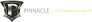 Pinnacle Sports, Media & Entertainment