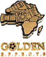 Golden Effects Pictures