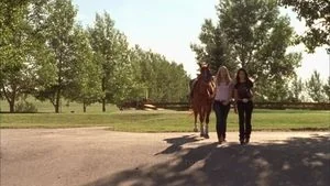 Sweetheart of the Rodeo still