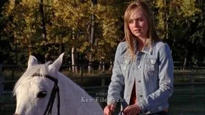 Divorce Horse still