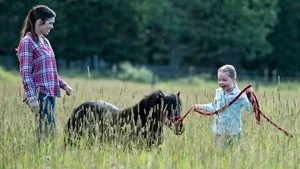A Horse with No Rider still
