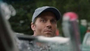 Bluebird still
