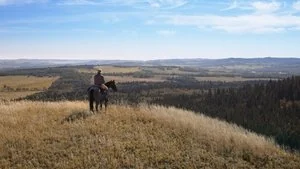You Can Lead a Horse to Water still