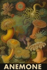 Anemone poster