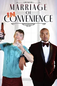 Marriage of Inconvenience poster