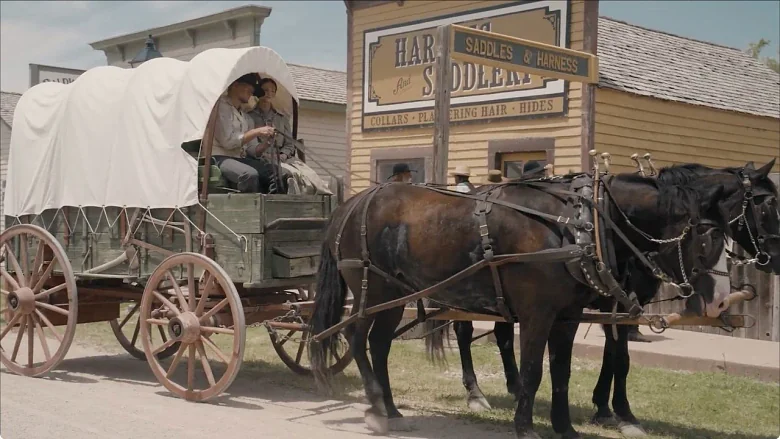 Sod and Stubble trailer