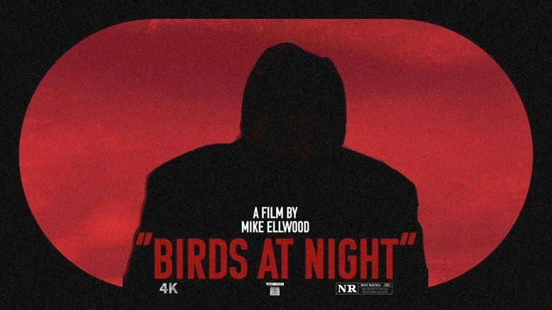 Birds at Night trailer