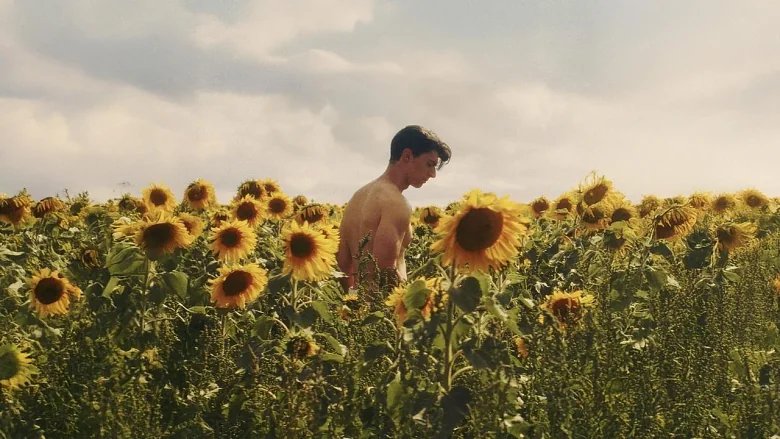 Sunflower trailer