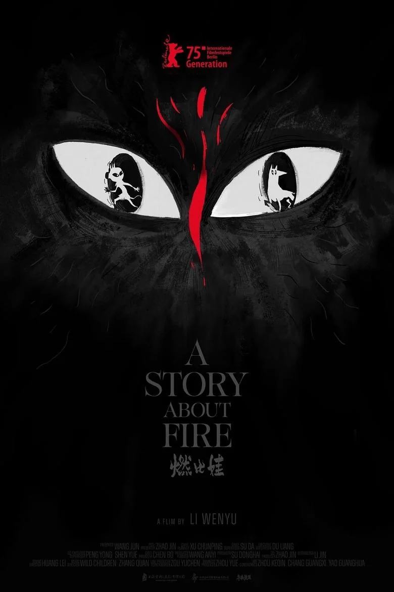 A Story About Fire poster