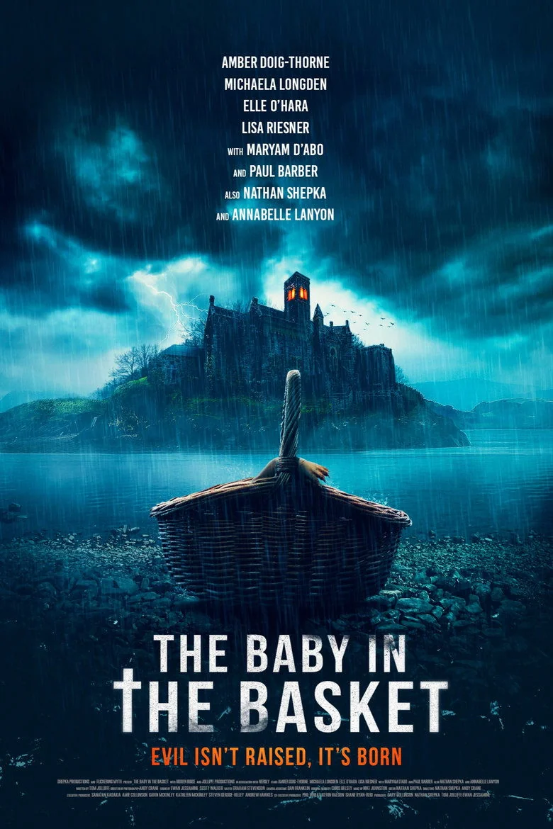 The Baby in the Basket poster