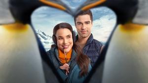 Polar Opposites trailer