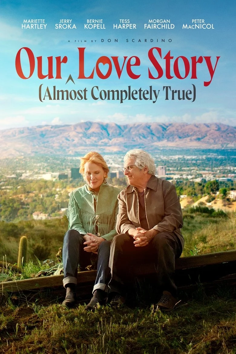 Our Almost Completely True Story poster