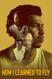 How I Learned to Fly poster