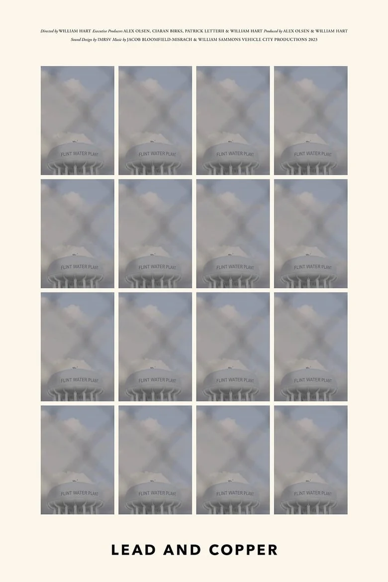 Lead and Copper poster