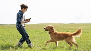 A Dog's Purpose trailer
