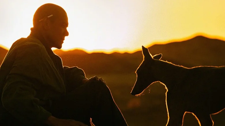 Black Dog trailer