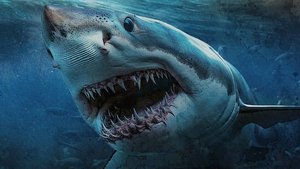 Shark Island trailer