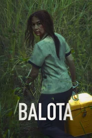 Ballot poster