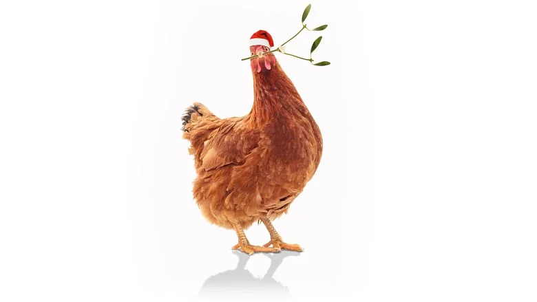 Feather Christmas trailer