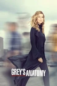 Grey's Anatomy: Season 16 poster