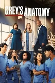 Grey's Anatomy: Season 19 poster