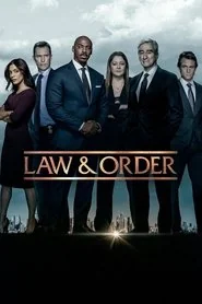 Law & Order: Season 22 poster