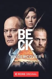 Beck: Season 8 poster