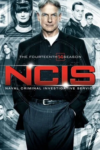 Season 14 poster