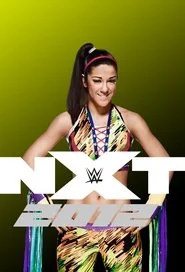 WWE NXT poster