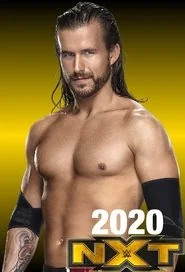 WWE NXT: Season 14 poster