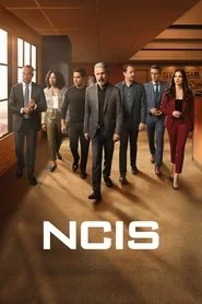 NCIS: Season 21 poster