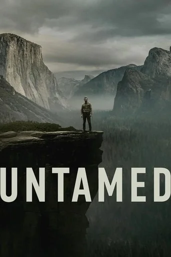 Limited Series poster
