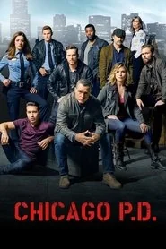 Chicago P.D. poster