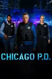 Chicago P.D.: Season 11 poster