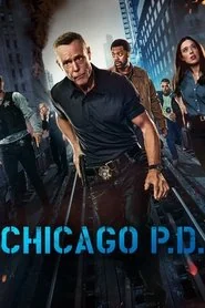 Chicago P.D.: Season 12 poster