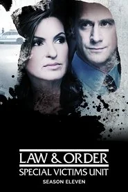 Law & Order: Special Victims Unit poster