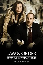 Law & Order: Special Victims Unit poster