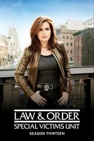 Law & Order: Special Victims Unit poster