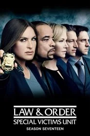 Law & Order: Special Victims Unit poster