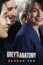 Grey's Anatomy: Season 10 poster