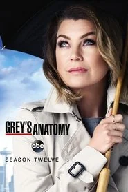 Grey's Anatomy poster