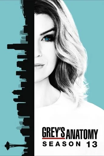 Season 13 poster