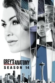 Grey's Anatomy poster