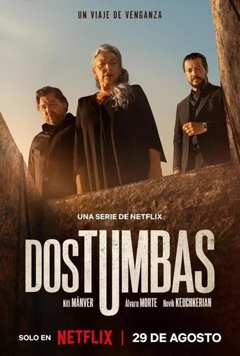 Limited Series poster